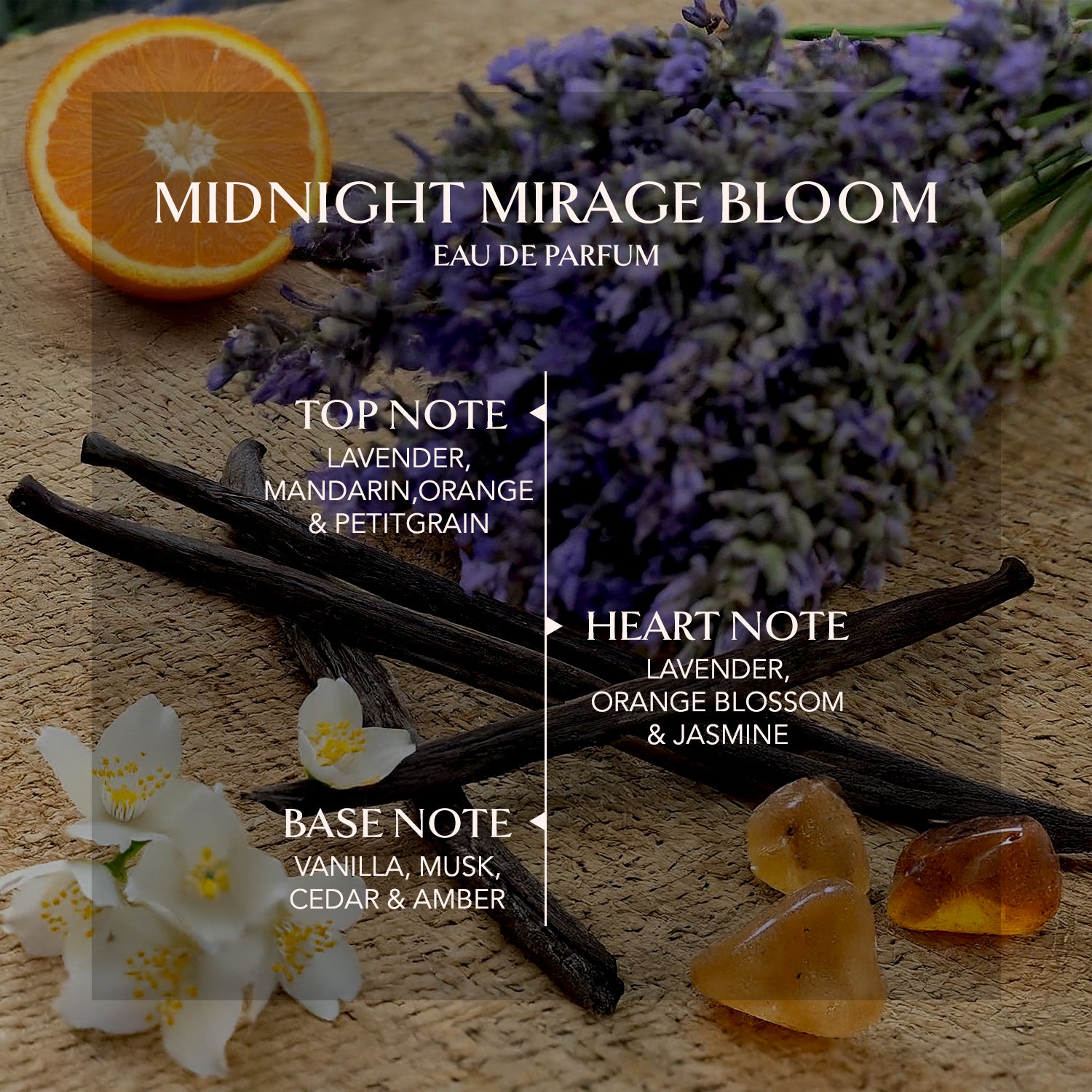 MIDNIGHT MIRAGE BLOOM
